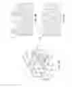 Fig. 10 - Fin field effect transistor