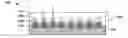 Fig. 01 - E-flash cell band engineering for erasing speed enhancement