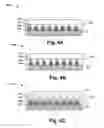 Fig. 03 - E-flash cell band engineering for erasing speed enhancement