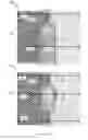 Fig. 09 - METHODS FOR ENGINEERING POLAR DISCONTINUITIES IN NON-CENTROSYMMETRIC HONEYCOMB LATTICES AND DEVICES INCLUDING A TWO-DIMENSIONAL INSULATING MATERIAL AND A POLAR DISCONTINUITY OF ELECTRIC POLARIZATION