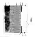 Fig. 03 - Materials, fabrication equipment, and methods for stable, sensitive photodetectors and image sensors made therefrom