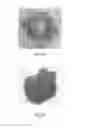 Fig. 14 - NON-METALLIC SEMICONDUCTOR QUANTUM DOT AND METHOD OF CARRYING OUT CHEMICAL REACTION OR PHOTOLUMINESCENCE REACTION BY USING THE SAME