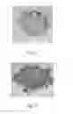 Fig. 15 - NON-METALLIC SEMICONDUCTOR QUANTUM DOT AND METHOD OF CARRYING OUT CHEMICAL REACTION OR PHOTOLUMINESCENCE REACTION BY USING THE SAME