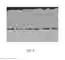 Fig. 05 - Multilayer ceramic electronic component and method of manufacturing the same