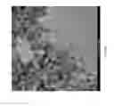Fig. 05 - Ferroelectric agglomerates and methods and uses related thereto