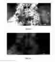 Fig. 09 - Ferroelectric agglomerates and methods and uses related thereto