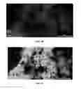Fig. 11 - Ferroelectric agglomerates and methods and uses related thereto