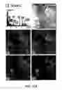 Fig. 24 - Ferroelectric agglomerates and methods and uses related thereto