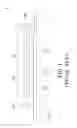 Fig. 02 - ORGANIC LIGHT EMITTING DIODE LIGHTING DEVICE