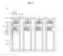 Fig. 02 - Display device comprising gray color filter