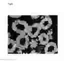 Fig. 09 - NICKEL MANGANESE COMPOSITE HYDROXIDE PARTICLES AND MANUFACTURING METHOD THEREOF, CATHODE ACTIVE MATERIAL FOR A NON-AQUEOUS ELECTROLYTE SECONDARY BATTERY AND MANUFACTURING METHOD THEREOF, AND A NON-AQUEOUS ELECTROLYTE SECONDARY BATTERY