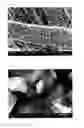 Fig. 09 - Air cell