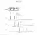 Fig. 07 - Waveguide laser
