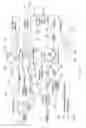 Fig. 11 - Frequency stabilized coherent brillouin random fiber laser