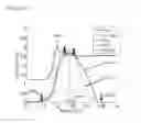 Fig. 06 - Nonequilibrium pulsed femtosecond semiconductor disk laser