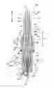 Fig. 01 - Spark plug