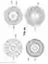 Fig. 06 - Large magnetically geared machines