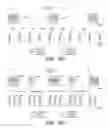 Fig. 09 - Synchronization in a beamforming system