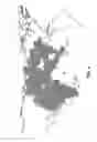 Fig. 05 - Methods and Apparatus for Providing Virtual Military Satellite Communication (MILSATCOM) Services Utilizing Shared Spectrum and Orbital Assignments