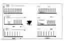Fig. 01 - Half-cycled orthogonal frequency divisional multiplexing transmission and reception