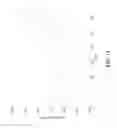 Fig. 10 - Half-cycled orthogonal frequency divisional multiplexing transmission and reception