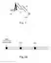 Fig. 02 - Methods and apparatuses for signaling in dynamic time division duplex systems