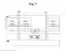 Fig. 10 - Method of receiving a point-to-multipoint service in a wireless communication system