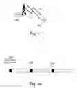 Fig. 02 - Methods and apparatuses for signaling in dynamic time division duplex systems