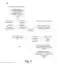 Fig. 04 - Server clustering in mobile computing environment