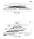 Fig. 04 - Clustered dispersion of resource use in shared computing environments