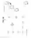Fig. 07 - Login to a computing device based on facial recognition