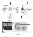 Fig. 09 - Apparatus and method for securely managing the accessibility to content and applications