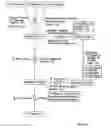 Fig. 03 - Storage management system for preserving consistency of remote copy data