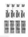 Fig. 07 - Image correction apparatus and method