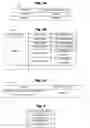 Fig. 06 - Information process apparatus for converting original information to concealed information for transmission