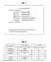 Fig. 07 - Information process apparatus for converting original information to concealed information for transmission