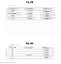Fig. 08 - Information process apparatus for converting original information to concealed information for transmission