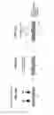Fig. 10 - Camera cover and camera