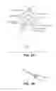 Fig. 04 - Dual-view probe for illumination and imaging, and use thereof
