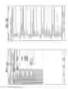 Fig. 12 - Synchronous photographing system that controls synchronous photographing by plurality of image capture apparatus