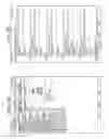 Fig. 12 - PHOTOGRAPHING CONTROL APPARATUS THAT CONTROLS SYNCHRONOUS PHOTOGRAPHING BY PLURALITY OF IMAGE CAPTURE APPARATUS
