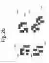 Fig. 07 - Reconfigurable phase change material masks for electro-optical compressive sensing