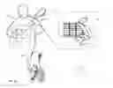 Fig. 19 - METHOD AND SYSTEM FOR AN AUTOMATIC SENSING, ANALYSIS, COMPOSITION AND DIRECTION OF A 3D SPACE, SCENE, OBJECT, AND EQUIPMENT
