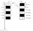 Fig. 01 - Method and apparatus for photographing and projecting moving images in three dimensions
