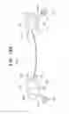 Fig. 30 - Biologically fit wearable electronics apparatus and methods