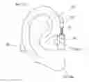 Fig. 01 - Acoustic device