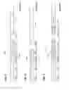 Fig. 04 - Orthogonal frequency division multiple access for wireless local area network