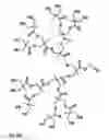 Fig. 07 - ENCAPSULATION BARRIER STACK COMPRISING DENDRIMER ENCAPSULATED NANOP ARTICLES