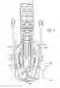 Fig. 06 - Closing assembly for an agricultural implement