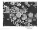 Fig. 01 - Release of biologically active agents from polymeric composite particles